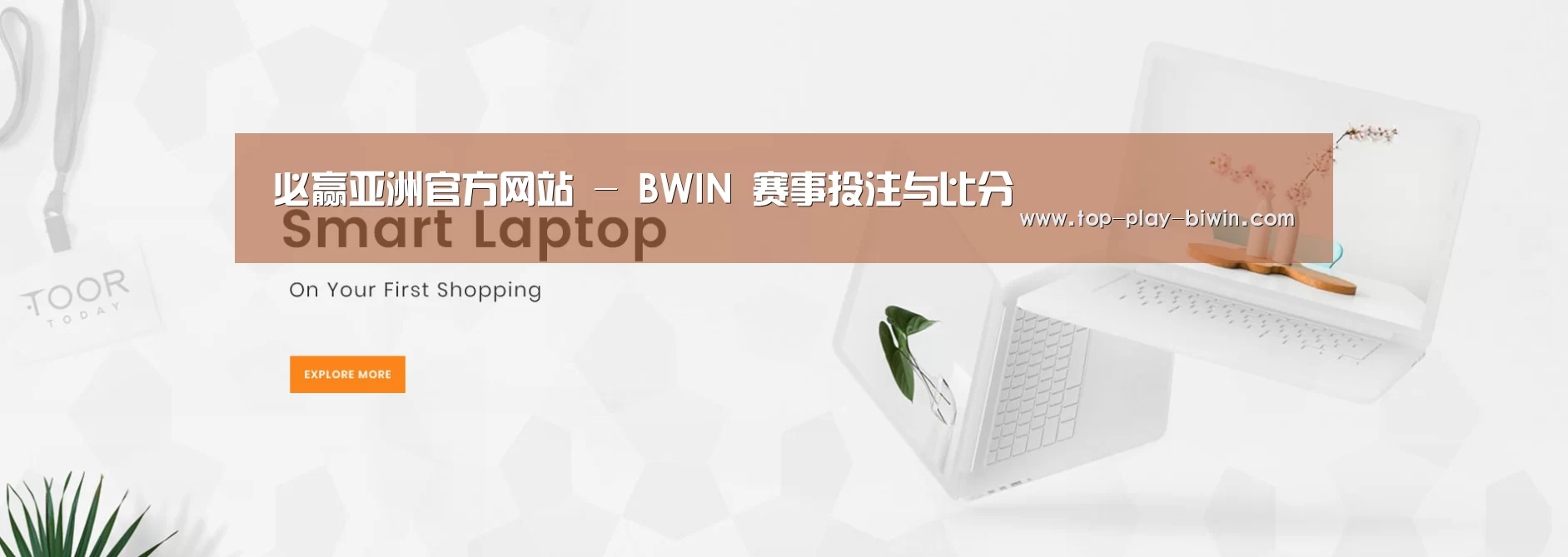 某某网络科技有限公司