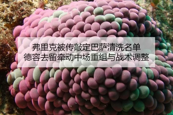 fu-li-ke-bei-chuan-qiao-ding-ba-sa-qing-xi-ming-dan-de-rong-qu-liu-qian-dong-zhong-chang-chong-zu-yu-zhan-shu-tiao-zheng-2-244.jpg
